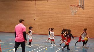 Fotografías 1/12/2023 (Baloncesto Pre-benjamín)